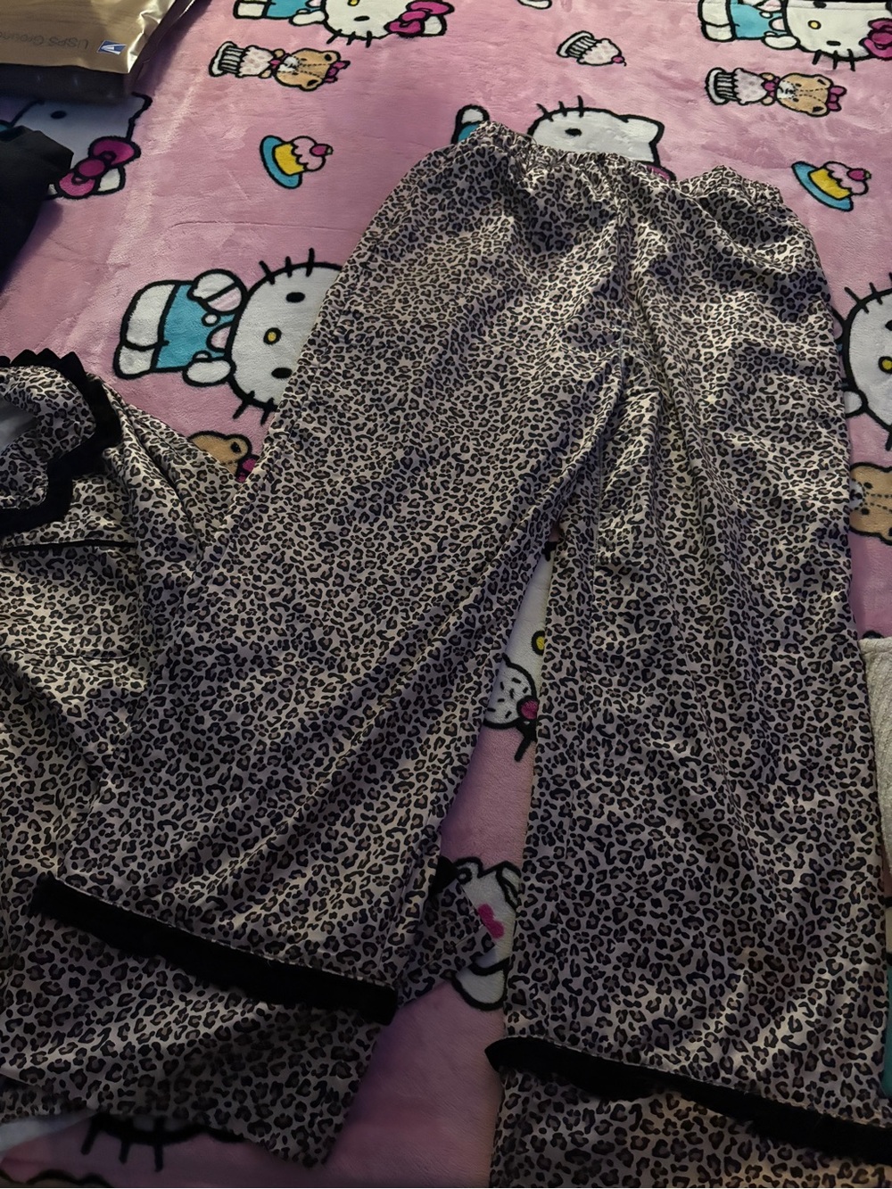 Leopard Print Satin Pajama Pants - Women's Sleepwear